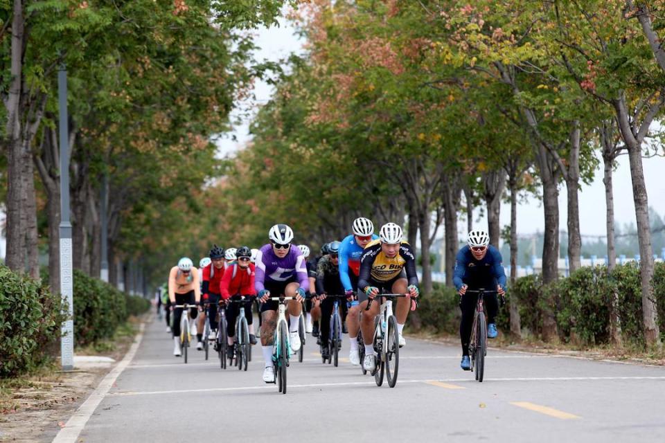 这条赛道像, 前接受加冕